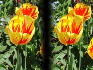 3D Aufnahme mit Strahlenteiler]